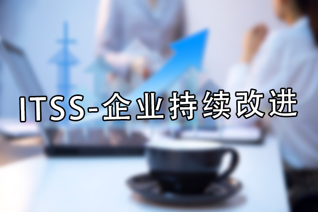 ITSS-企业持续改进